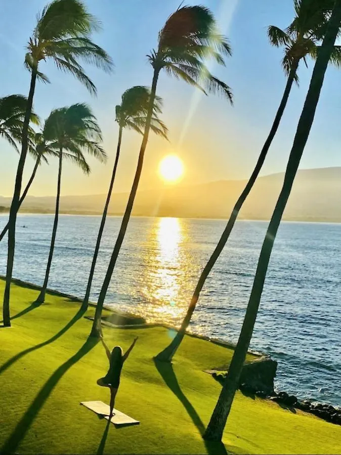 Spectacular Luxury , Modern Oceanfront Condo Maalaea-Kihei ,Maui Wailuku United States