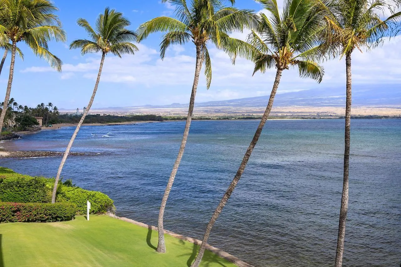 Spectacular Luxury , Modern Oceanfront Condo Maalaea-Kihei ,Maui Wailuku 0*,  United States
